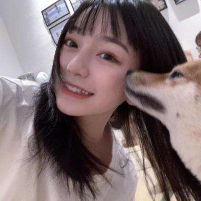 中国功夫手游私服送vip下载